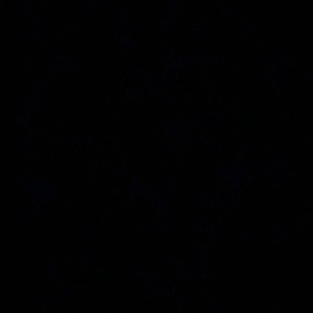 Meet your Posher, Bernice